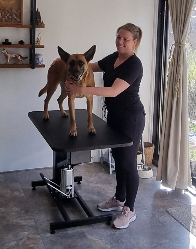 Xena op de behandeltafel bij DierNova Osteopathie