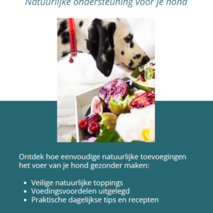 E-Book de kracht van Toppings