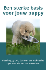 GRATIS E-Book: Een sterke basis voor jouw puppy
