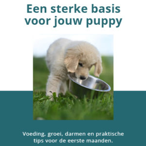 GRATIS E-Book: Een sterke basis voor jouw puppy